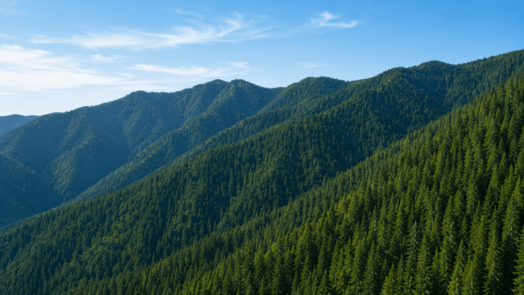 Sustainable Future Landscape